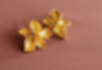 Brincos Flor BLOOM bloomBR.004d Ana Sales Jewelry