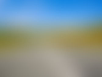 Following the Path from Purpose to Resilience