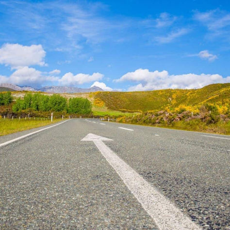 Following the Path from Purpose to Resilience