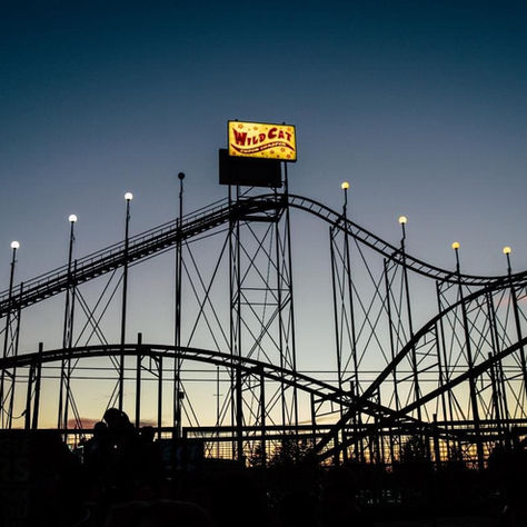 Resilience Quick Reads: Supporting Staff Through the Coronacoaster