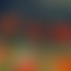 Resilience Quick Reads: Growth Through Adversity