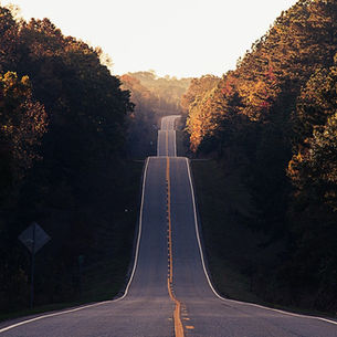 Your Roadmap to Resilience