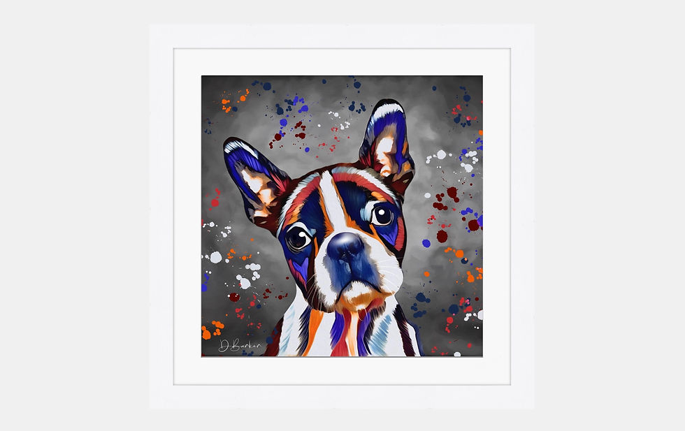 Thumbnail: Boston Terrier Dog Colour Splash – Framed Contemporary Dog Art.