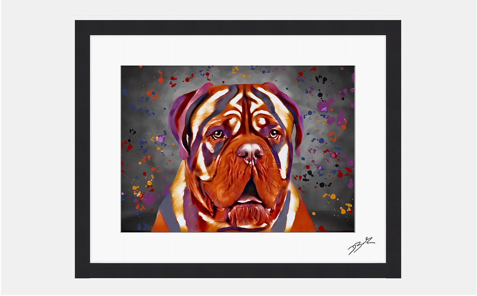 Dogue de Bordeaux Colour Splash – Framed Contemporary Dog Art.