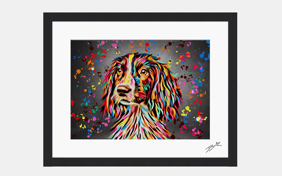 Spaniel Colour Splash – Framed Contemporary Dog Art.
