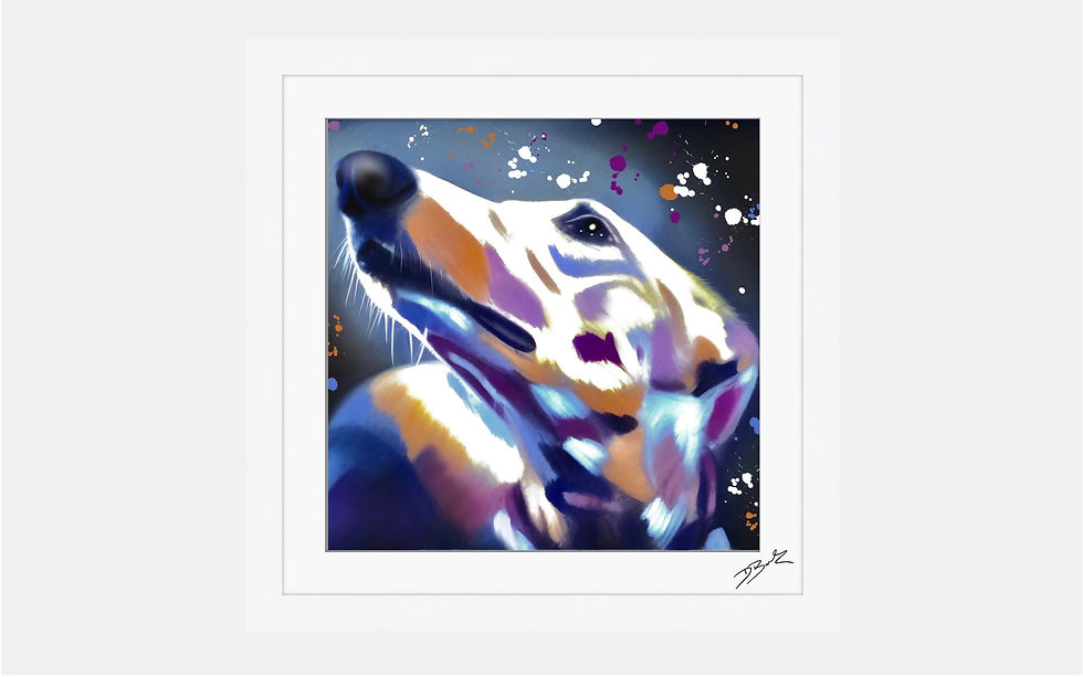 Thumbnail: Greyhound Dog Colour Splash - Framed Contemporary Dog Art.