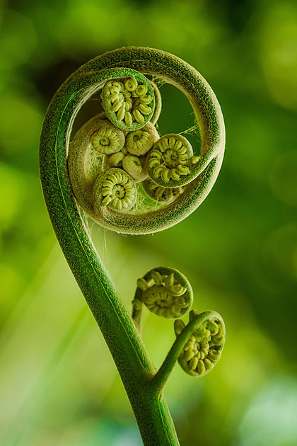 AdobeStock_103483926.jpeg
