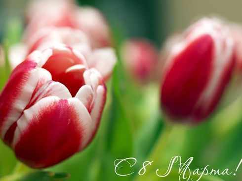 Наши дорогие девушки и женщины, с 8 марта!