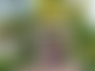 Our 1st Family Vision