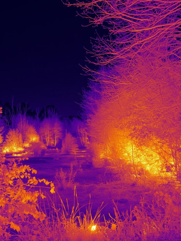 AVA Drone Services Interior Thermal Images