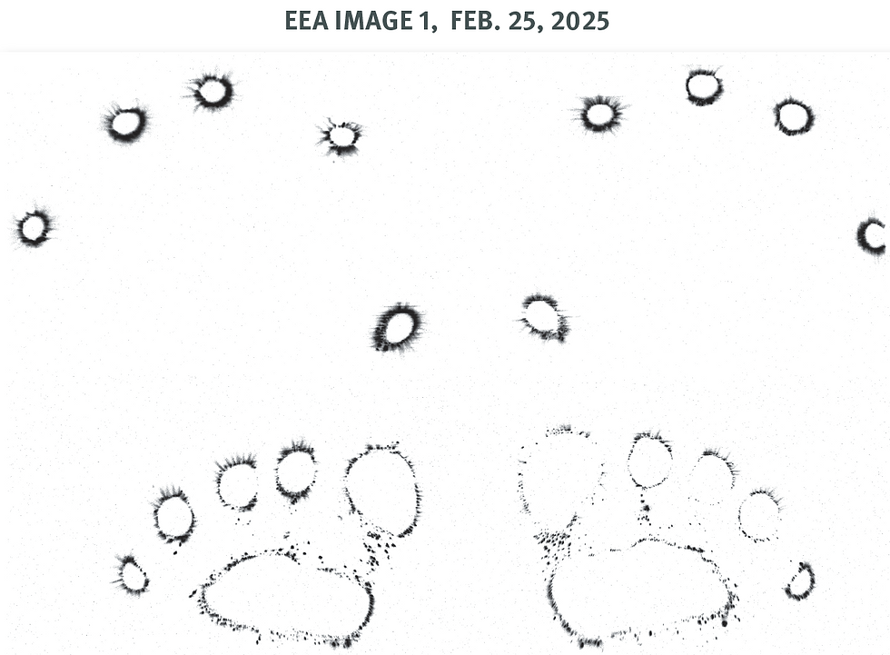 Before the line of development treatment — the photo that showed what 24 prenatal treatments hadn't yet reached.