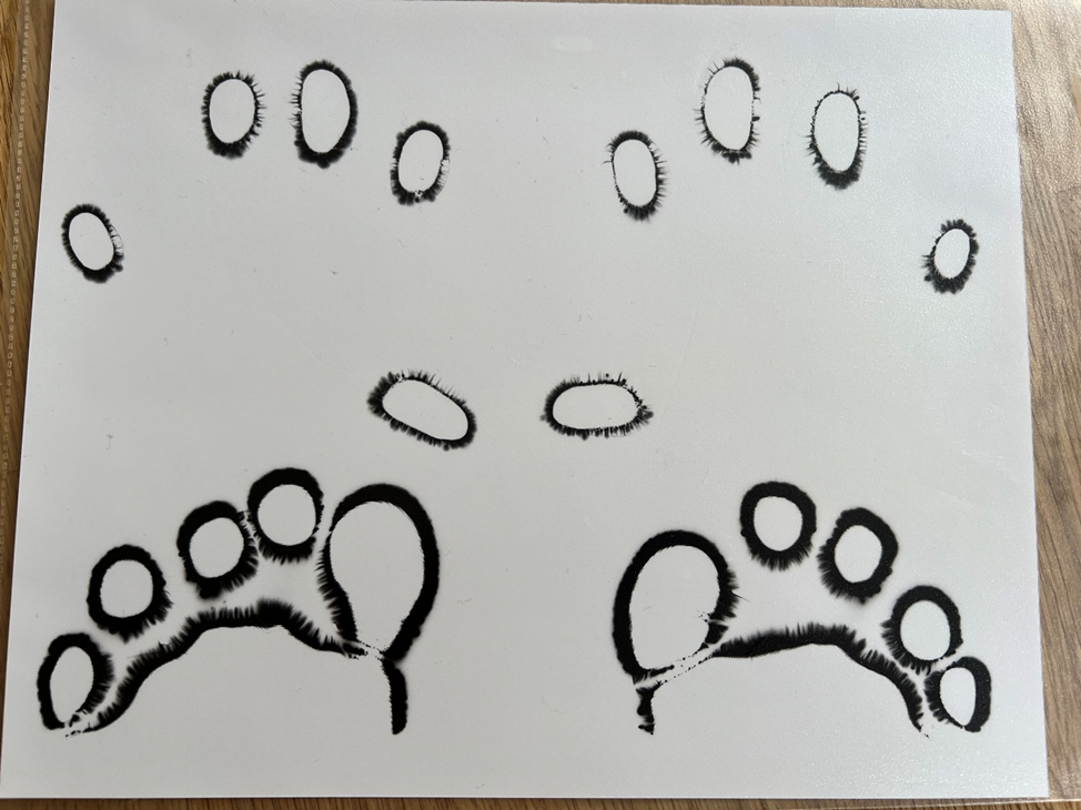 Kirlian photo with middle fingers showing medial cones with flattening on lateral side.