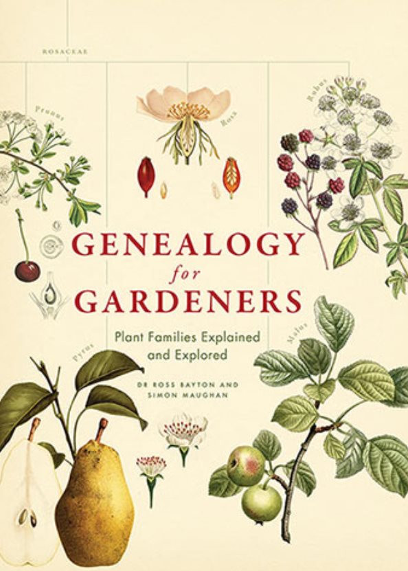 Plant genealogy from https://www.allenandunwin.com/browse/books/general-books/lifestyle/Genealogy-for-Gardeners-Simon-Maughan-9781760630508