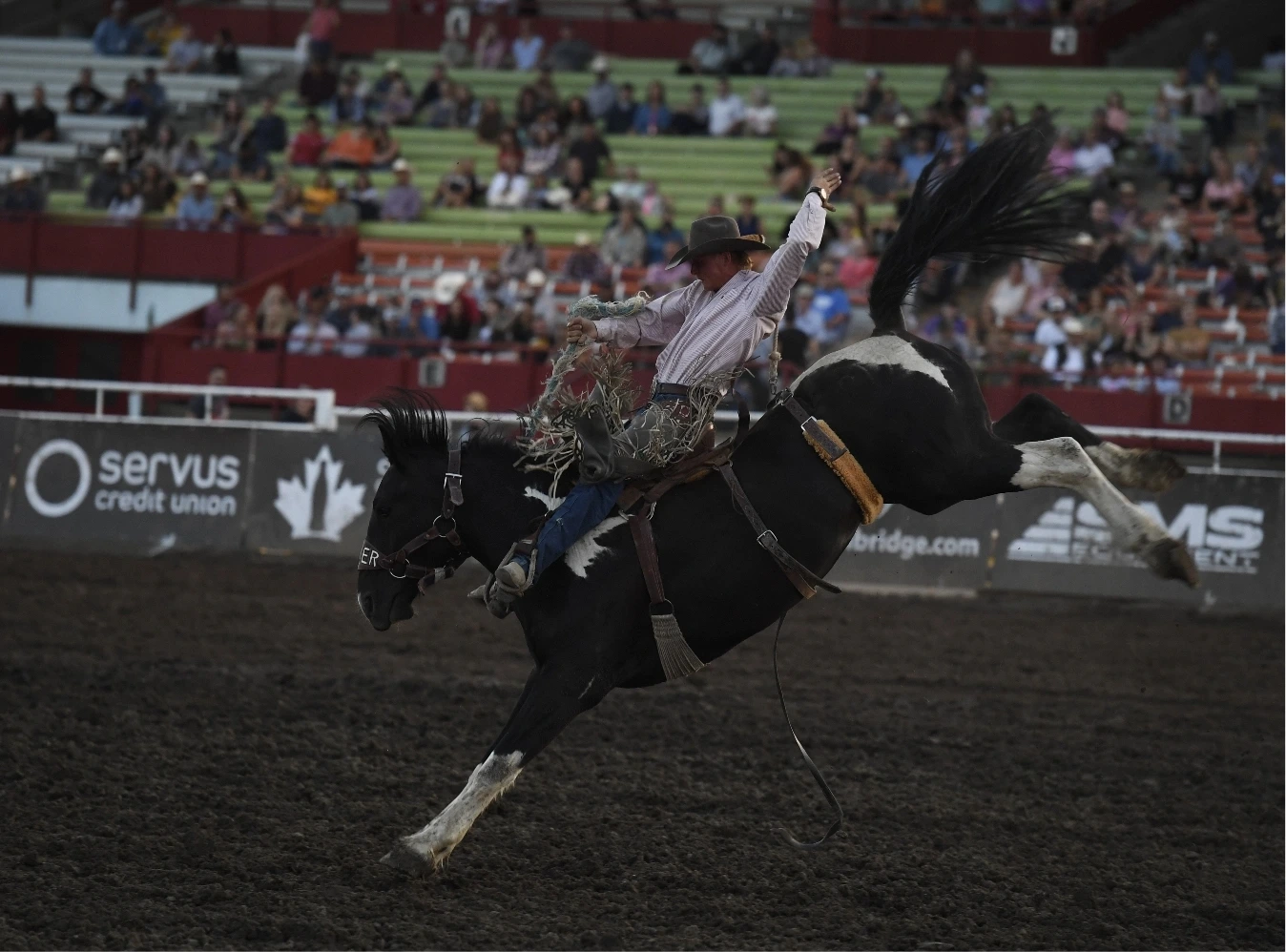 Cowboy on bucking bronco