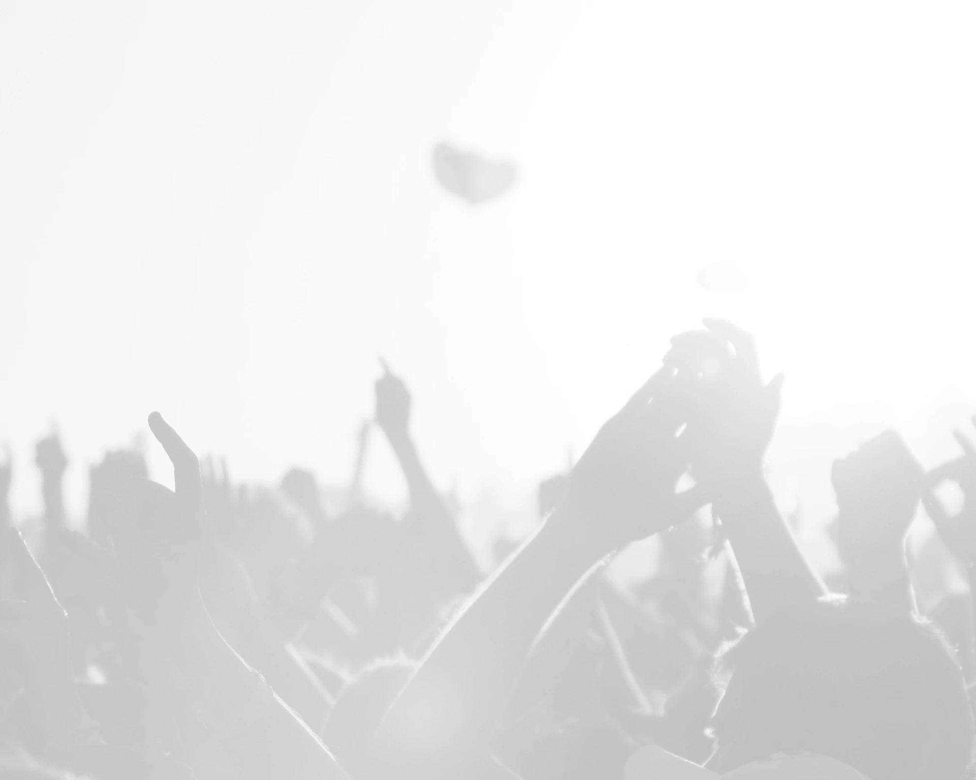 crowd of people cheering