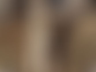 Please Respect City Trees