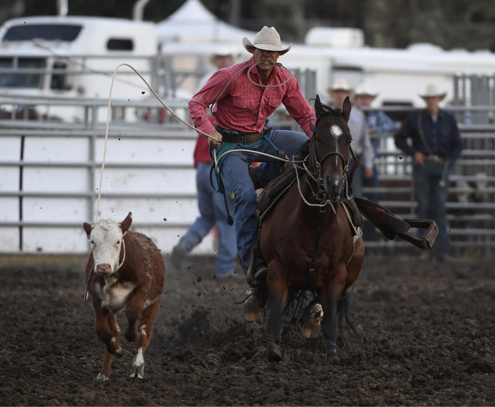 Experience the Adreneline  Lethbridge & District Pro Rodeo