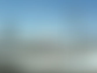 COUNTRY BLOOMS OPEN FOR THE SEASON