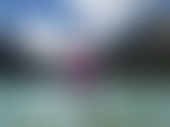 Re-Learning my Botanical Latin