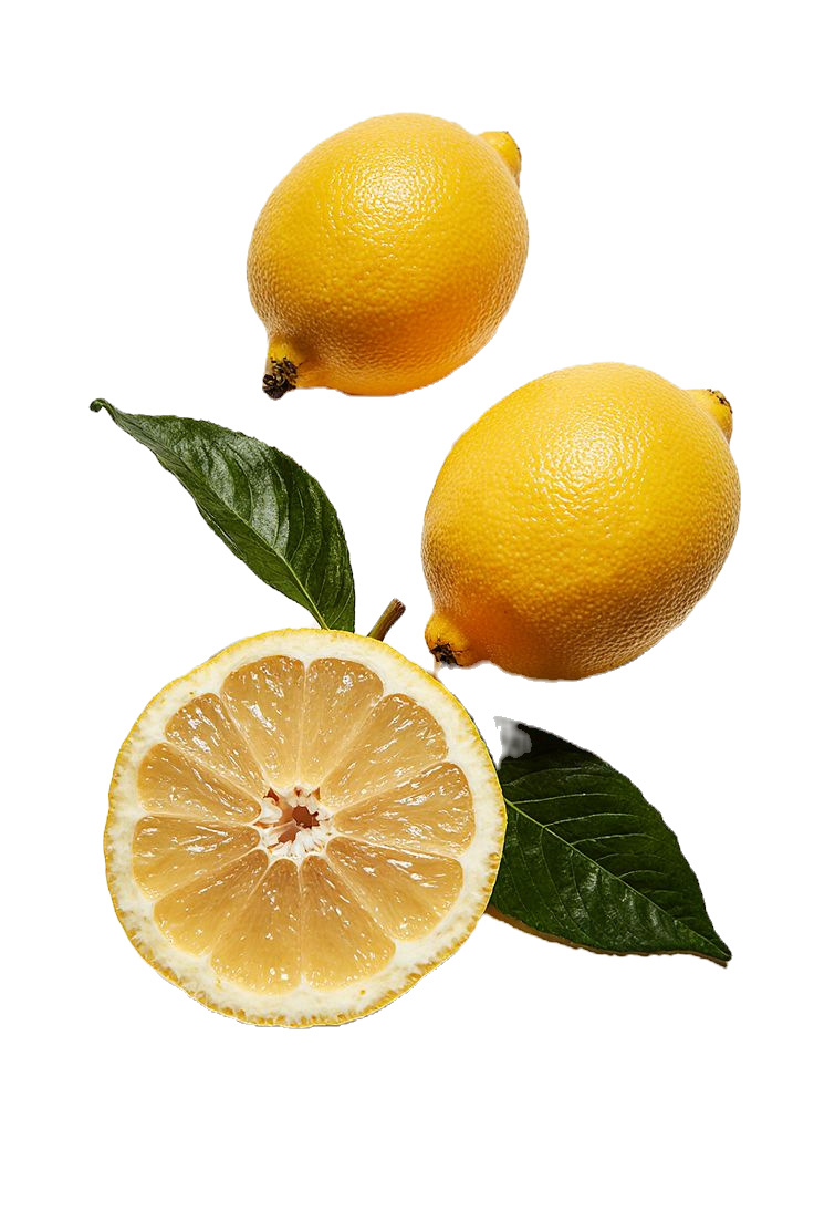 acac7e6d57b6335ef0ae8269f458ccfb_edited.png