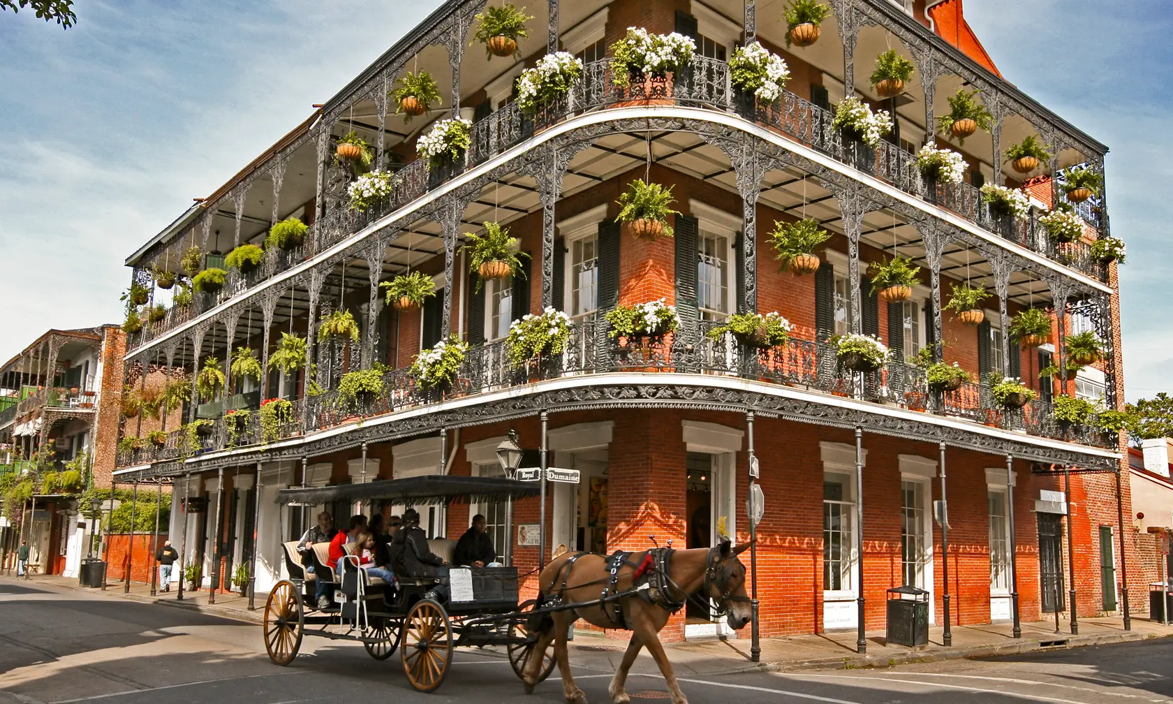 NOLA.webp