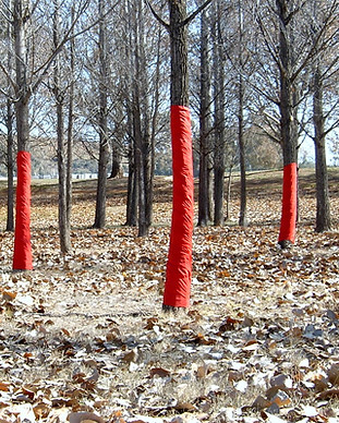 RedTrees6.jpg