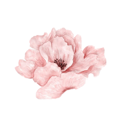 IMG_2162.PNG
