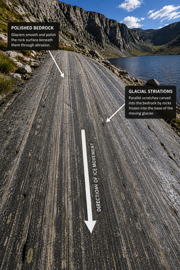 Glacial striations reveal the direction of ice flow across polished bedrock.