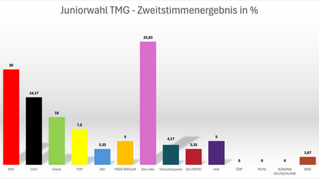 Juniorwahl zur Bundestagswahl 2025