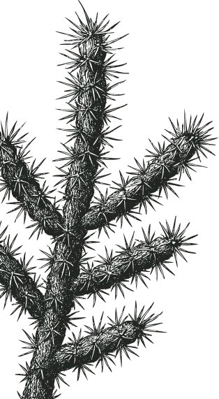 tree vector.webp