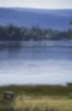 Testimonial BG-1.webp