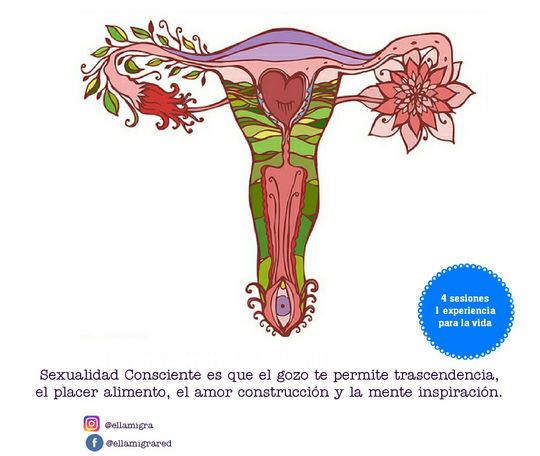 ¿Por qué Sexualidad Consciente?