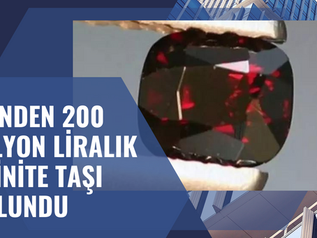 Evinden 200 milyon liralık Painite taşı bulundu