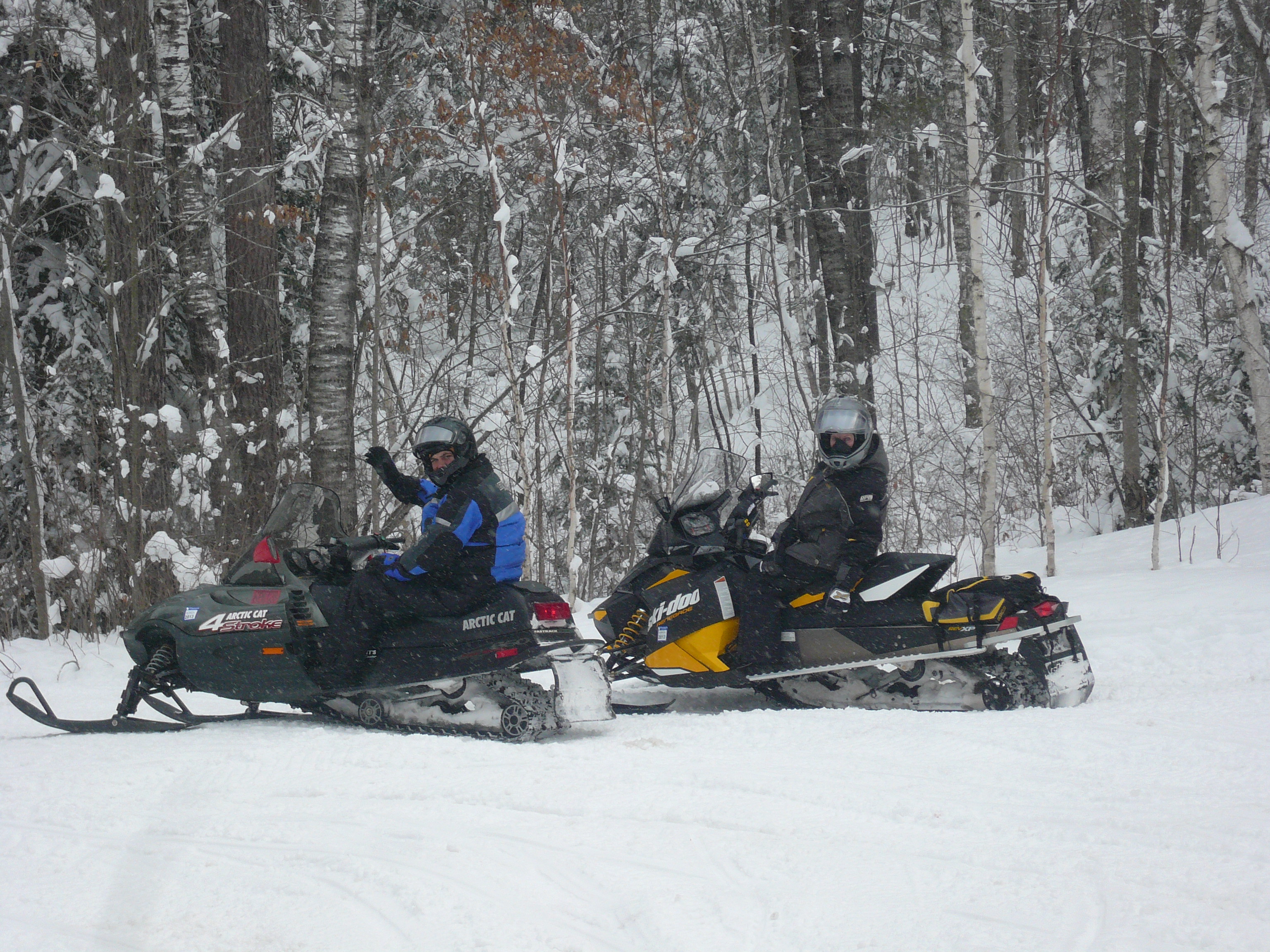 Snowy Woods-3.jpg