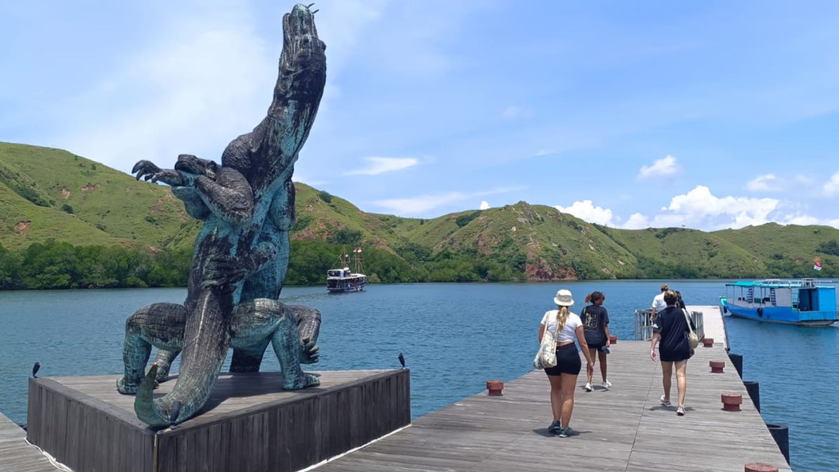 Komodo dragons