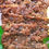 Thumbnail: Chocolate Chip Banana Bread