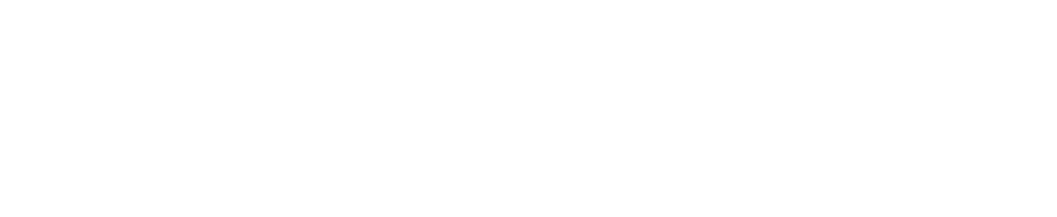 logo opt1.png