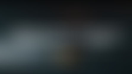 Immersive Website Design
