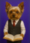 Screenshot 2025-06-19 at 3.39_edited.jpg