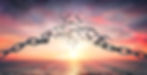 On The Wings Of Freedom - Birds Flying And Broken Chains - Charge Concept_.jpg