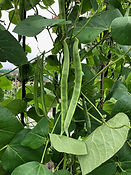 IMG_0841.jpeg