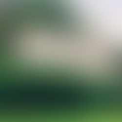 Knock Knolls Naperville IL Real Estate Market Update 2026