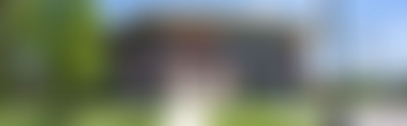 Lisle’s 2025 Local Elections: Candidates, Issues, and Voting Information