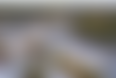 The Rise, Fall, of Lisle’s Family Square Plaza