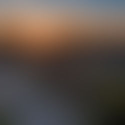 Super Bowl Is Over — The Real Estate Market in DuPage County Just Kicked Off