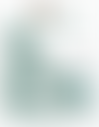 Clow Creek Farm, Naperville: A Rare New Construction Opportunity Built on Legacy Land