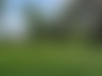 Why Acre+ Homes Are Better for Kids (and Smarter for Parents)