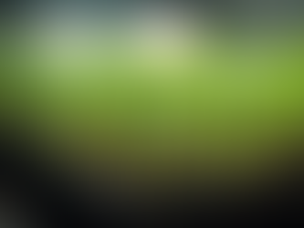 Young seedlings sprouting in January indoors