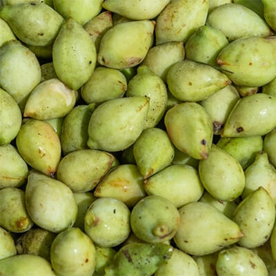 several whole kakadu plums, they are green and they take up the entire frame.