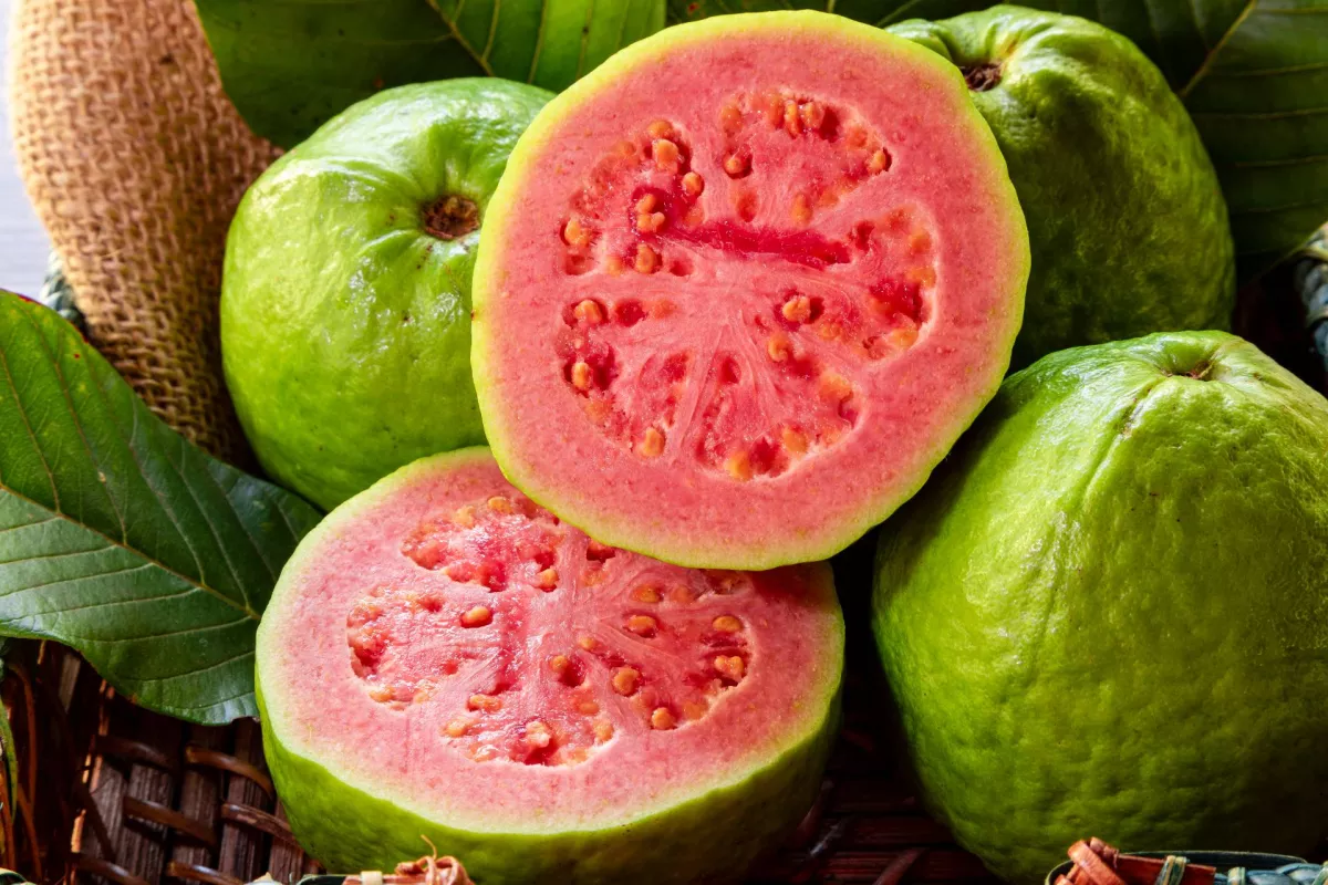 pink guava interior set against a backdrop of whole pink guava